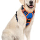 rabbitgoo Dog Harness No Pull with 2 Leash Clips, Adjustable Soft Padded, Reflective Oxford No Choke Pet Vest with Easy Control Handle for Large Dogs, Blue & Orange, XL