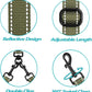 PetBonus Double Dog Leash, No Tangle Dual Leash, Reflective Walking Training Lead, 4 Comfortable Padded Handles for 2 Dogs with Collapsible Bowl and Waste Bags (Army Green, Large)