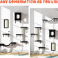 NUNU LAB Wall Mounted Cat Furniture, 5 Pcs Cat Wall Shelves with House, Bridge, Steps, Scratching Post, Shelves, Indoor Safe & Stable Furniture for Kittens Play, Black