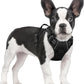 rabbitgoo Dog Harness No Pull with 2 Leash Clips, Adjustable Soft Padded, Reflective Oxford No Choke Pet Vest with Easy Control Handle for Small Dogs, Black, S