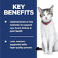 Hill's Science Diet Adult 11+, Senior Adult 11+ Premium Nutrition, Dry Cat Food, Chicken Recipe, 15.5 lb Bag