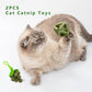 Cat Catnip Toys,2Pcs Catnip Ball for Cats,Toys for Indoor Cats,Cat Chew Exercise Toy for All Breeds and Species,Enhances Oral and Dental Health