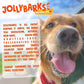 Bully Sticks for Small Dogs | All Natural, Single Ingredient Bully Sticks for Puppies to Medium Dogs (12" Stnd Bully Sticks - 1pk)