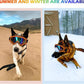 Large Dog Sunglasses With Adjustable Strap UV Protection, Windproof Puppy Eyewear, Suitable for Medium-Large Pets, Eyes Protection, Soft Goggles (Orange Frame)
