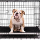 K9 Ballistics Chew Proof Armored Padded Dog Crate Bed, Virtually Indestructible, Legs Included (Blue, XX-Large (50" L x 33" W x 8" H))