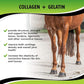 SynoStride All Natural, All-in-one, Joint and Hoof Health Supplement for Horses, Powder with Glucosamine, Chondroitin, Hyaluronic Acid, Biotin, Methionine, Trace Minerals (1080 Grams) x2