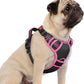 rabbitgoo Dog Harness Small Sized, No Pull Dog Vest with 3 Buckles, Adjustable Soft Padded Pet Harness with Easy Control Handle and Reflective Strips, Black & Rose Pink, S