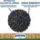 Backyard Seeds Thistle Bird Seed for Finches 50 Pounds