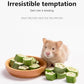 Niteangel Hamster Snack & Treats Toy - Small Animal Natural Treat for Dwarf Syrian Robo Hamsters Gerbils Mice Degus or Other Small-Sized Pets (Freeze-Dried Okra - 0.2oz (5.5g))