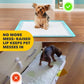 TidyFriend 2 Pack Dog Pee Pad Holder Tray Fits for 24” x 24” Wee Wee Pee Pads - Stable Grip, Raised Edges, Quick-Wipe Silicone Surface Dog Potty Tray Holder for Indoor Flooring Protection (Sky Blue)