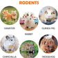 Sofier 12Pcs Timothy Hay Treats - Natural Chews for Teeth - Handmade Rabbit, Chinchilla, Gerbil, Rat, Hamster Toys - Bunny & Guinea Pig Toys
