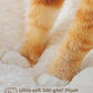 Modern Cat Tree for Large Cats, Wood Cat Tower for Indoor Cats, Real Branch Luxury Cat Furniture with Super Large Cozy Condo and Hammock & Scratching Post, Top Basket, White