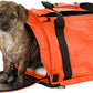 SturdiBag Pro 2.0 Pet Travel Carrier with Flexible Height for Cats and Dogs | Soft Sided Pet Carrier Bag with Safety Clips and Seatbelt Straps for Airplane or Car Travel | Medium, Orange