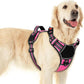 Eagloo Dog Harness for Large Dogs, Easy Wearing with 3 Buckles, Adjustable No Pull Pet Harness with 2 Rings for Walking, No Chock Reflective Soft Padded Vest with Control Handle, Pink & Black, L