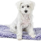 Stoutwool Indestructible Dog Bed - Fluffy Chew Proof Dog Crate Pad - Tough Kennel Pad for Aggressive Chewers - Ideal for Extra Small Breeds & Fits 22-Inch Crate - 21"x12", Jacaranda