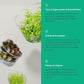 Ultum Nature Systems Anubias Nana Petite Tissue Culture Live Plant for Aquarium, Freshwater Fish Tank, Aquascaping - 100% Snail Free in Vitro