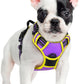 rabbitgoo Dog Harness No Pull with 2 Leash Clips, Adjustable Soft Padded, Reflective Oxford No Choke Pet Vest with Easy Control Handle for Small Dogs, Purple & Yellow, S