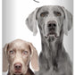 The Blissful Dog Weimaraner Nose Butter for Dry, Cracked Skin, Lick-Safe Dog Nose Balm with Moisturizing Shea Butter, Almond, Olive, and Essential Oils, Pet Supplies, Uncented, 0.50 oz.