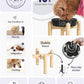 Ceramic Puzzle Slow Feeder Dog Bowl - 0.6 Cup Elevated with Wood Stand for Small Breeds, Black