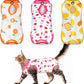 Nuanchu 3 Pieces Cat Recovery Suit Kitten Recovery Suit E-Collar Alternative for Cats and Dogs Abdominal Skin Anti Licking Pajama Clothes Sets(Fruit Pattern,Large)