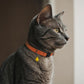 Breakaway Cat Collar Leather with Removable Bell - 13 Colors Available - Soft Adjustable Girl Boy Safety Lightweight Pet Kitten Collars Pink Brown Blue Green Red Orange Black (Graphite)