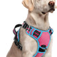 rabbitgoo Dog Harness for Large Dogs, No Pull Pet Vest with 3 Buckles, Adjustable Soft Padded Pet Harness with Easy Control Handle and Reflective Strips, Rose Pink & Blue, L