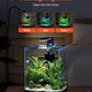 VEVOR Fish Tank Aquarium, 5 Gallon Square Ultra-Clear Glass Starter Smart Tank Adjustable 3 Color Lighting, Self Cleaning System Fishbowl for Freshwater & Saltwater Fish Home, Office, or Pet Use