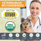 Wholistic Pet Organics:Dog Probiotics and Digestive Enzymes-Probiotic Chews for Dogs Digestive Health,Support Gut Health Immune Supplement Prevents Dog Digestive Problems (Original, 240 Count)