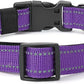 Reflective Dog Collar Padded with Soft Neoprene Breathable Quick Release Basic Dog Collars for Puppy Small Dogs Girl Purple
