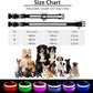PcEoTllar Light up Dog Collar Lights for Night Walking - LED Dog Collar Light Rechargeable Color Changing, Glow in The Dark Dog Collars Waterproof Glowing Dog Collars for Large Small Medium Dogs
