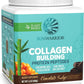 Sunwarrior Vegan Collagen Building Powder Protein Peptide with Biotin Vitamin C Hyaluronic Acid for Hair Skin Nail Dairy Free Gluten Free | Chocolate