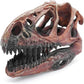 Fish Hideout Aquarium Décor Decorations Dinosaur Skull Fish Tank Decor Cave Dinosaur Skull Betta Animal Halloween Large Tarantula Reptile Bones Snake for Terrarium Ornament