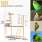 Bird Playground Parrot Playstand Bird Perch Stand Gym Natural Wood Play Stand with Swing Ladder Feeder Cups for Parakeets Cockatiels Lovebirds Conures Budgies