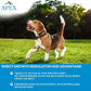 Apex Plus Flea and Tick Prevention for Dogs | Medium (23-44 lbs) | 6-Month Supply | Dog Flea and Tick Treatment | 24-Hour Activation, Waterproof, 30-Day Protection