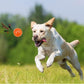 petizer 6 Pack 4.5inch Squeaky Dog Toy Balls Floating Spiky Pool Balls Interactive Fetch Toys for Large Dog