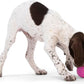 WEST PAW Boundr Ball Dog Fetch Toy – Bouncing Toys for Dogs, Fetch, Catch, Chewing, Play – Floatable, Recyclable Balls – Small Hot Pink/Aqua Blue 2-Pack