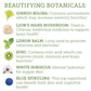 The Republic of Tea Beautifying Botanicals Beauty Brain Herbal Tea, 36 Tea Bags