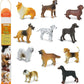 Safari Ltd. Dogs Toob - Mini Figurines: Dachshund, Dalmatian, Retriever, Sheepdog, Collie, Shepherd, Beagle, Boxer, Great Dane, Doberman, Bulldog - Educational Toys for Boys, Girls & Kids Ages 3+