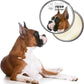 The Blissful Dog Show Boxer Nose Butter for Dry, Cracked Skin, Lick-Safe Dog Nose Balm with Moisturizing Shea Butter, Almond, Olive, and Essential Oils, Pet Supplies, Uncented, 1 oz.