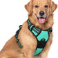 rabbitgoo Dog Harness No Pull with 2 Leash Clips, Adjustable Soft Padded, Reflective Oxford No Choke Pet Vest with Easy Control Handle for Large Dogs, Turquoise, XL