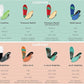 3810 Ultra Arch Support – Foam Cushion Insoles for Men & Women w/Metatarsal Pad, Plantar Fasciitis Relief, Morton's Neuroma Metatarsalgia Orthotics, Heavy Impact Shoe Insert (M 7, W 9)