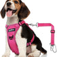 Dog Seat Belt Harness for Car, Dog Car Harness Adjustable Mesh Breathable & Dog Seatbelt Safety Tether with Elastic Bungee for Small Medium Large Pets(Rose, M)