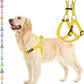 PUPTECK No Pull Dog Harness Soft Adjustable Basic Nylon Step in Puppy Vest Outdoor Walking with ID Tag, Yellow, L