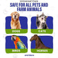 Colloidal Silver for Dogs & Cat Wound Care, Immune Support & Skin Solution - All Pet Health Care for Itch, Sores, Wounds, Hotspots & More with Syringe (32 oz)