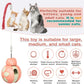 Cat Treat Interactive Toy, Indoor Puzzle Slow Feeding Mental Stimulation Sliding Rolling Cat Toy Ball with Ca-t Teaser, Cats Treat Dispenser Toy for Large, Medium and Small Cats (Pink, ladybug)