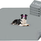 FXW Washable Pee Pads for Dogs, Puppy Pads with Super Absorbent, Specifically Designed for Potty Training, 35" Square, Gray, 4 Packs