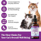 Special Breed L-Lysine for Cats & Kittens – Immune, Respiratory & Eye Health Support – Liquid Cat Supplement with Astragalus, Burdock, Atractylodes, Dangshen & Vitamins A, B1, B2, B6 – 2oz (60mL)