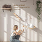 Cat Wall Shelves Set with Sisal Cats Window Perch, 4 Piece Wood Climbing Furniture with Curved Sisal Bed, Flat Shelf & Two Wall-Mounted 4 Steps Cat Stairs