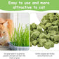 HavenJanny 60g Cat Grass Treats for Cats, Freezed Drying Cat Grass Teething Stick Snacks for Kitty, Edible Cats Chew Toys for Teeth Cleaning and Hairball Removal
