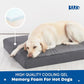 Barkbox Orthopedic Dog Bed with Memory Foam, Premium Comfort for Dogs and Puppies, Dog Bed for Joint Relief and Restful Sleep, Durable and Easy to Clean - Grey, XL